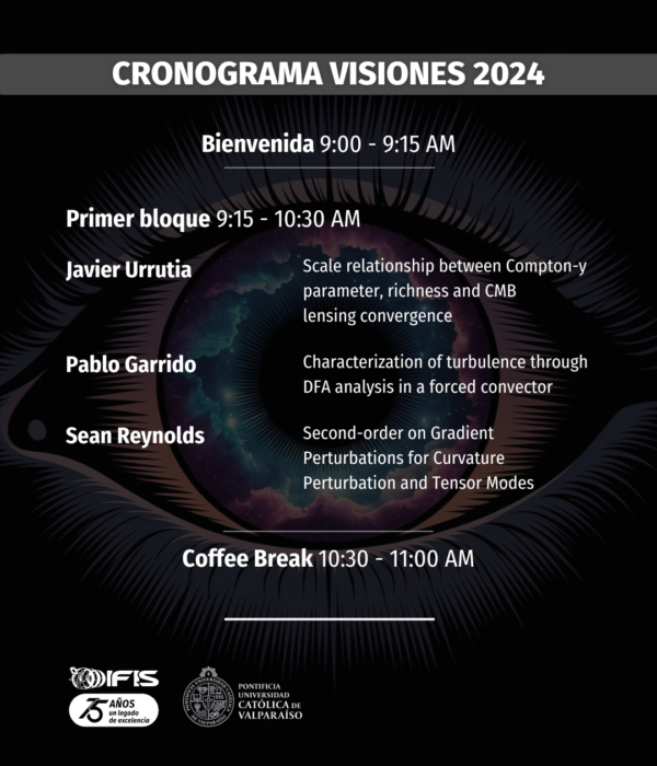 Cronograma Visiones 1