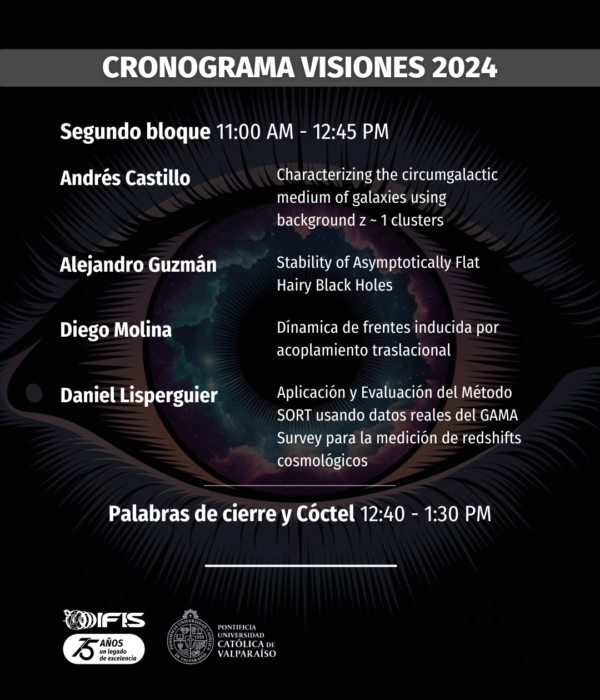 Cronograma Visiones 2 (1)